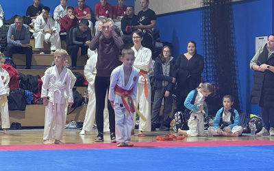 16. mednarodni odprti karate-do turnir Domžale cup 2024