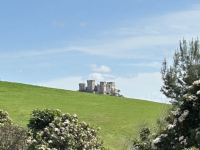 IMG-1ef948c1d51eb6e9a5ed8ae7fe42b68d-V